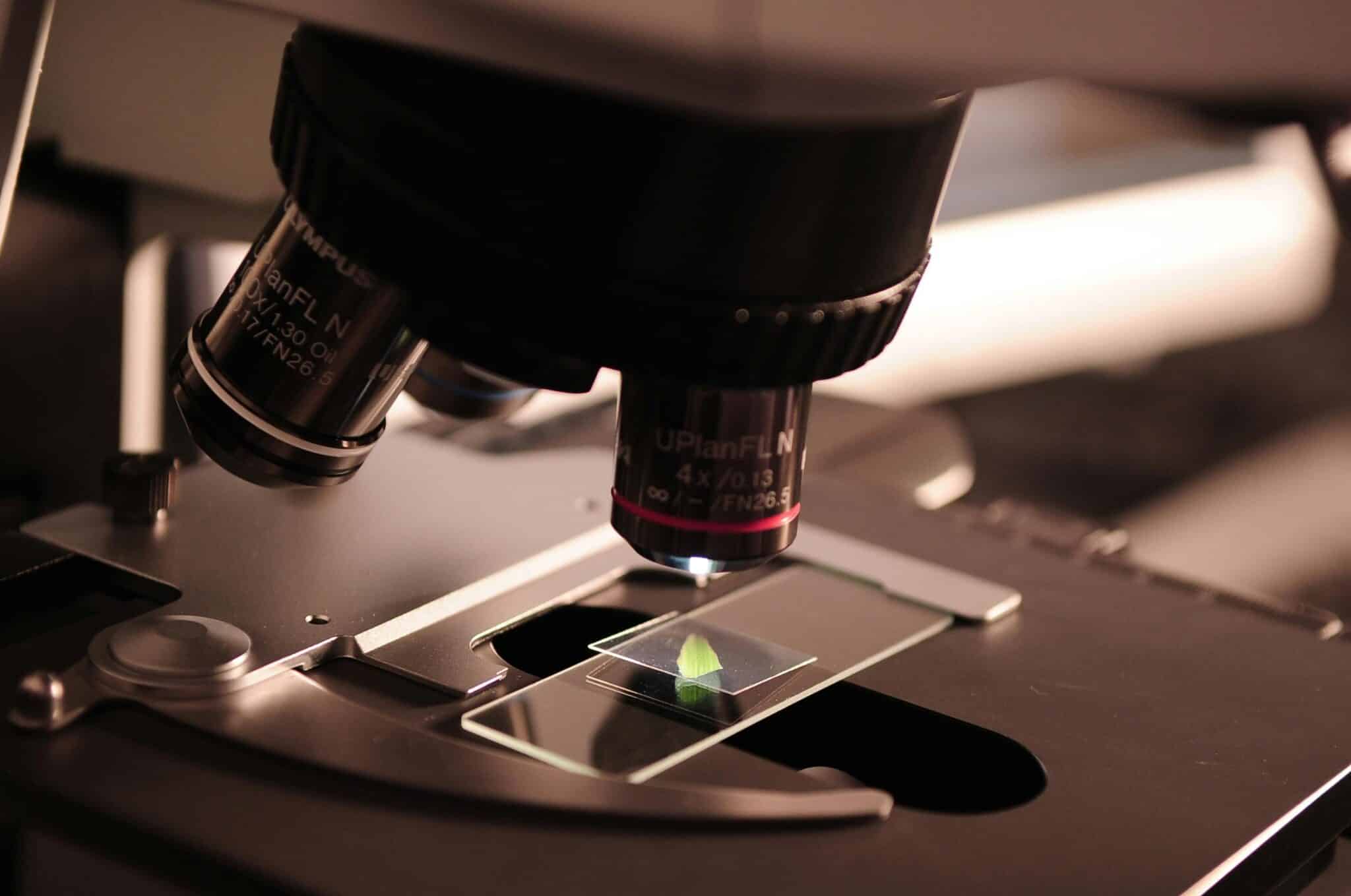 Заказать написание статьи Web of Science